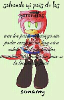 salvando mi pais de las maravillas(sonamy)