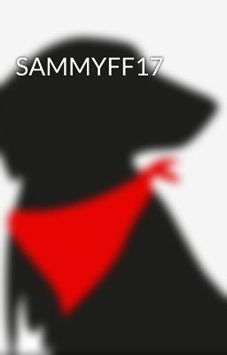 SAMMYFF17