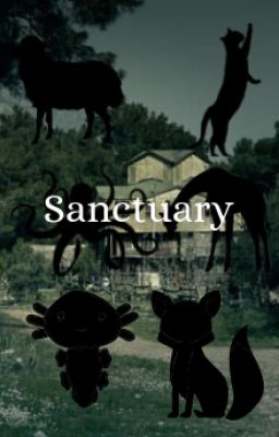 Sanctuary///An Applyfic///OPEN