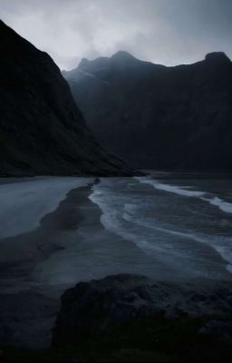 Sanctuary In Shadows [TFP!MonsterAU! X READER]