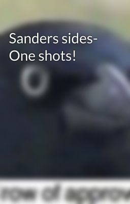 Sanders sides- One shots!