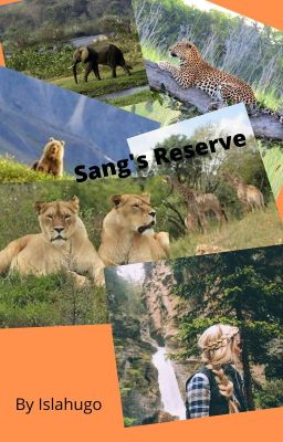 Sang's reserve (COMPLETE)