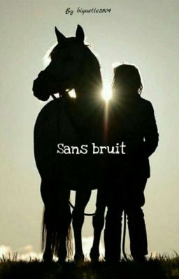 Sans bruit