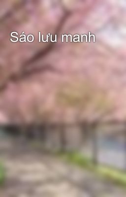 Sáo lưu manh