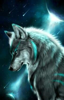 Sapphire : book one, The Lonely Wolf 