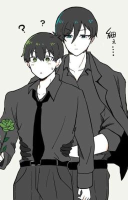 Sapphire & Emerald