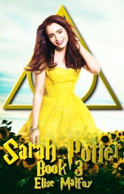 Sarah Potter (book 3)