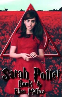 Sarah Potter (Book 4)