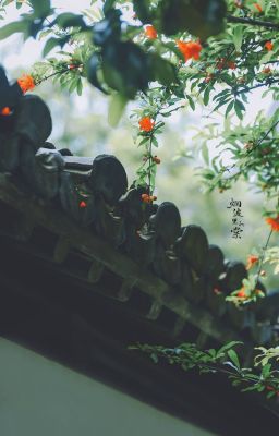 SAU ÁNH ĐÈN THÀNH PHỐ