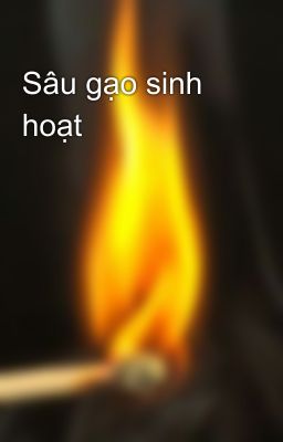 Sâu gạo sinh hoạt