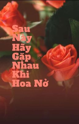 Sau Này Hãy Gặp Nhau Khi Hoa Nở