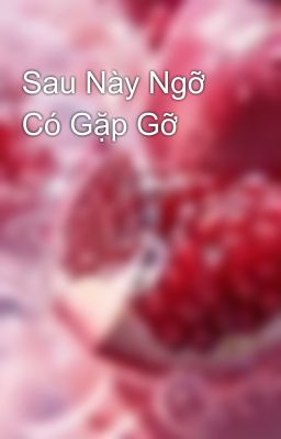Sau Này Ngỡ Có Gặp Gỡ 