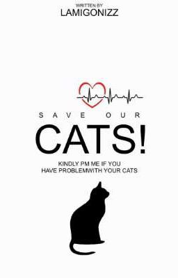 Save Our Cats!