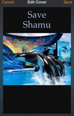 Save Shamu