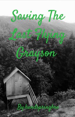 Saving The Last Flying Grayson ✔