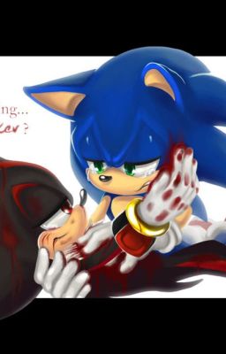 Say Something (Sonadow) One Shot