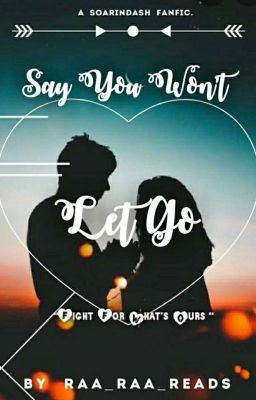 Say You Won't Let Go | Soarindash AU