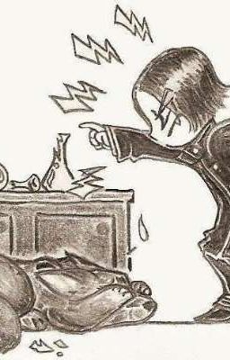 [SBSS] Chăn hiệu Padfoot 