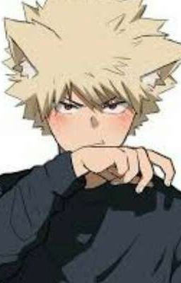 Scarce... (Katsuki Bakugo x reader)