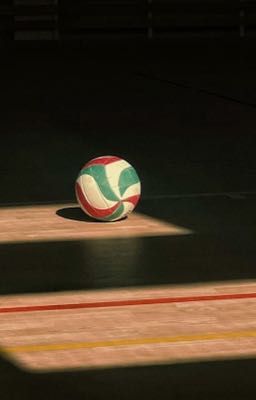 Scars Beneath The Net [JsolNicky]