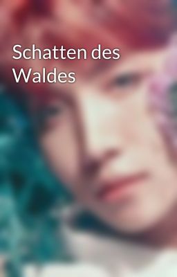 Schatten des Waldes