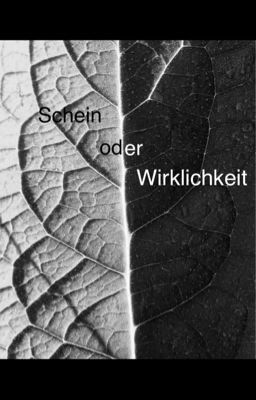 Schein oder Wirklichkeit? [Leseprobe]