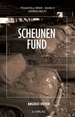 Scheunenfund - Leseprobe