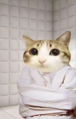 [schlechtes Tagebuch]