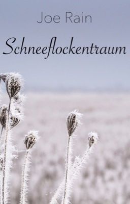 Schneeflockentraum