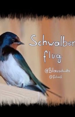 Schwalbenflug - Jubiläum und Special (Buch 1)