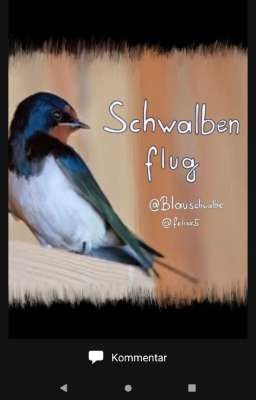 Schwalbenflug - jubiläum und special ( Buch 2 )