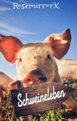 Schweineleben