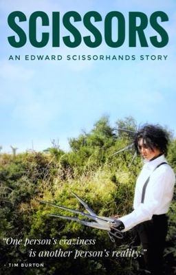 Scissors (An Edward Scissorhands Story)