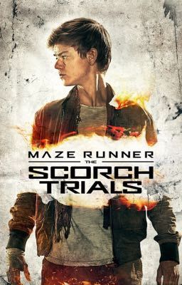 Scorch Trials (Newt X Reader) Sequel