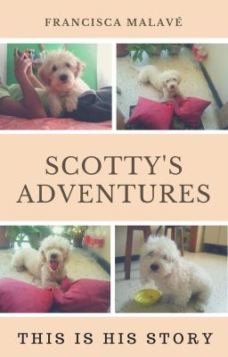 Scotty's Adventures