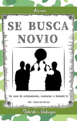 ¡Se Busca Novio!