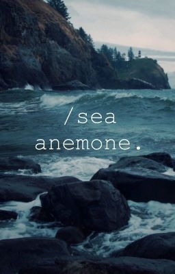 /sea anemone