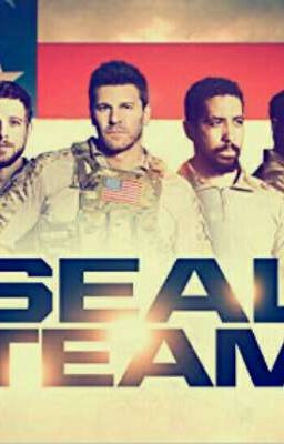 SEAL TEAM  saison 1 en Pauses 