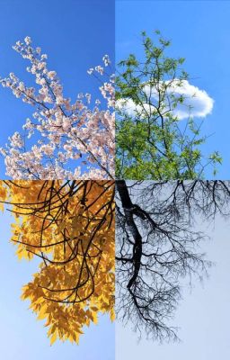 seankeon | Dear my seasons. 