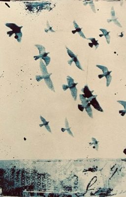 seankeon; luận văn, điểm rèn luyện và eom seonghyeon?