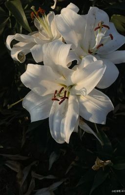 Seankeon || Tuổi 17