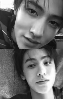 seankeon; when a cat is not a cat.