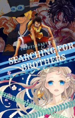 Searching for Brothers [One Piece fanfic]