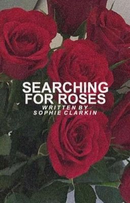 Searching For Roses 