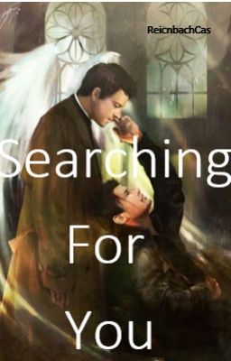 Searching for you - Destiel