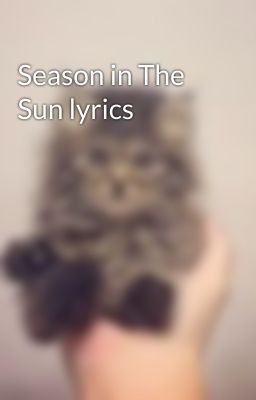 Season in The Sun lyrics