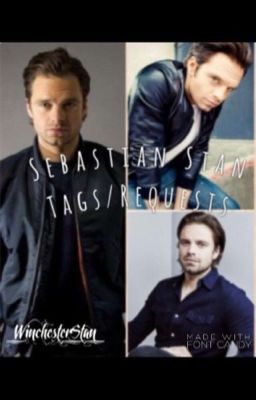 Sebastian Stan Tags/Requests