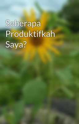 Seberapa Produktifkah Saya? 