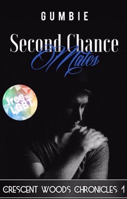 Second Chance Mates