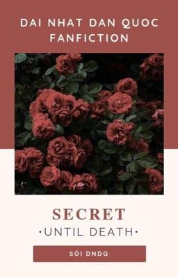 SECRET ( ĐNDQ FIC)